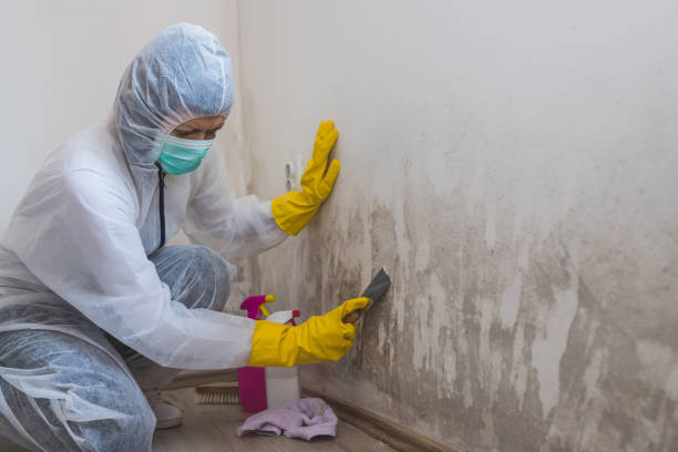 Mold Remediation for Vacation Homes in Sandy Springs, GA