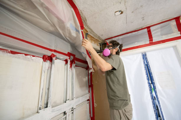 Best Airborne Mold Testing  in Sandy Springs, GA