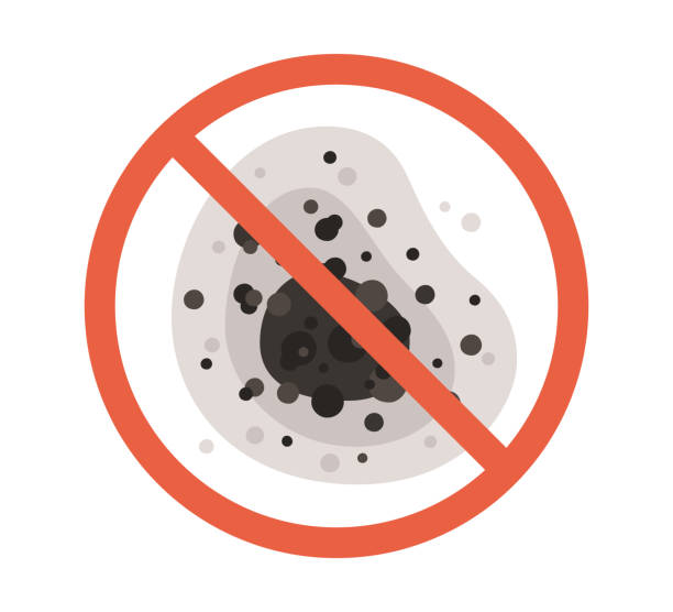 Best Airborne Mold Testing  in Sandy Springs, GA