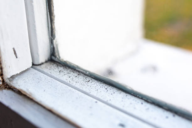 Best Mold Documentation for Insurance Claims  in Sandy Springs, GA