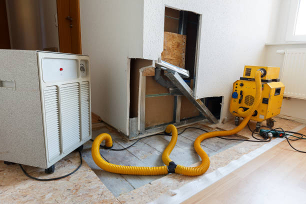 Best Comprehensive Air Testing for Mold Contaminants  in Sandy Springs, GA