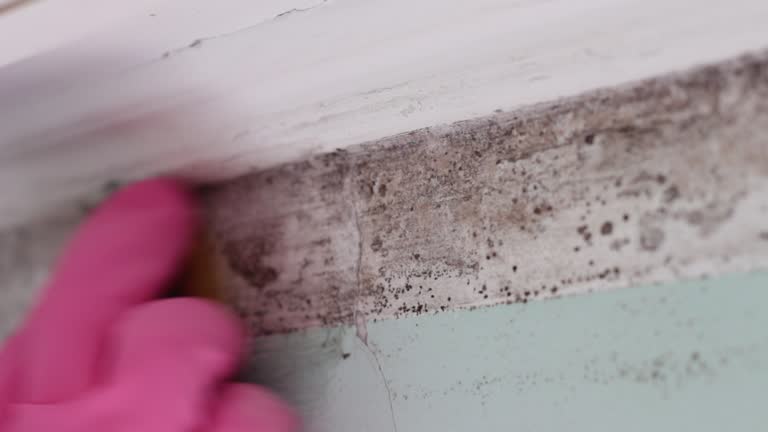 Best Real Estate Mold Inspection  in Sandy Springs, GA